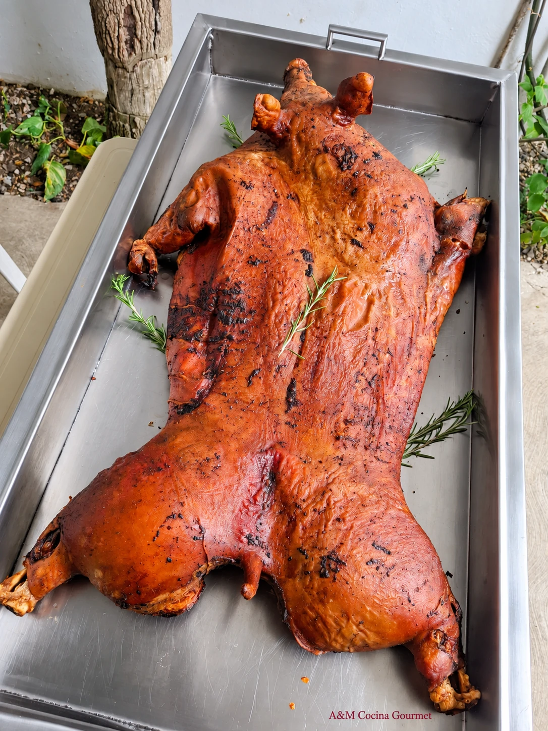 Cerdo asado A&M